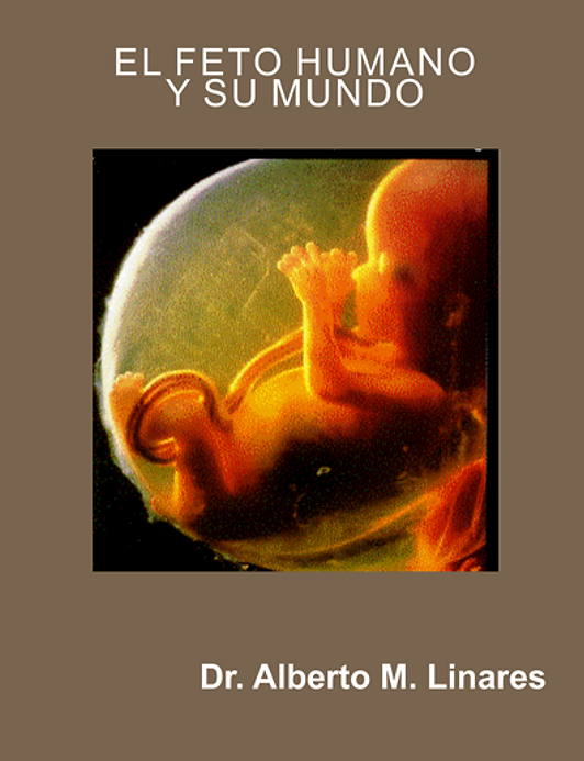 Libro 17