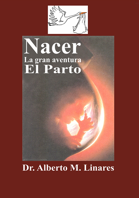 Libro 20